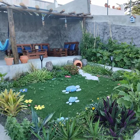 Seastar Nº36 Horta (Azores)