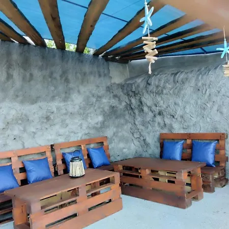 Seastar Nº36 Horta (Azores)