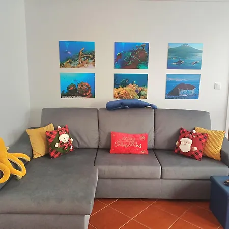 Appartement Seastar Nº36